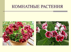 Слайд1.JPG