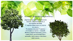 Слайд4.JPG