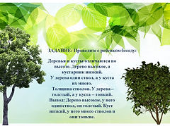 Слайд4.JPG