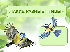 Слайд1.JPG
