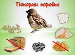 Слайд14.JPG