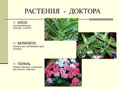 Слайд5.JPG