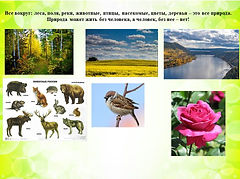 Слайд3.JPG
