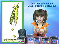 Слайд2.JPG