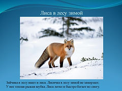 Слайд7.JPG
