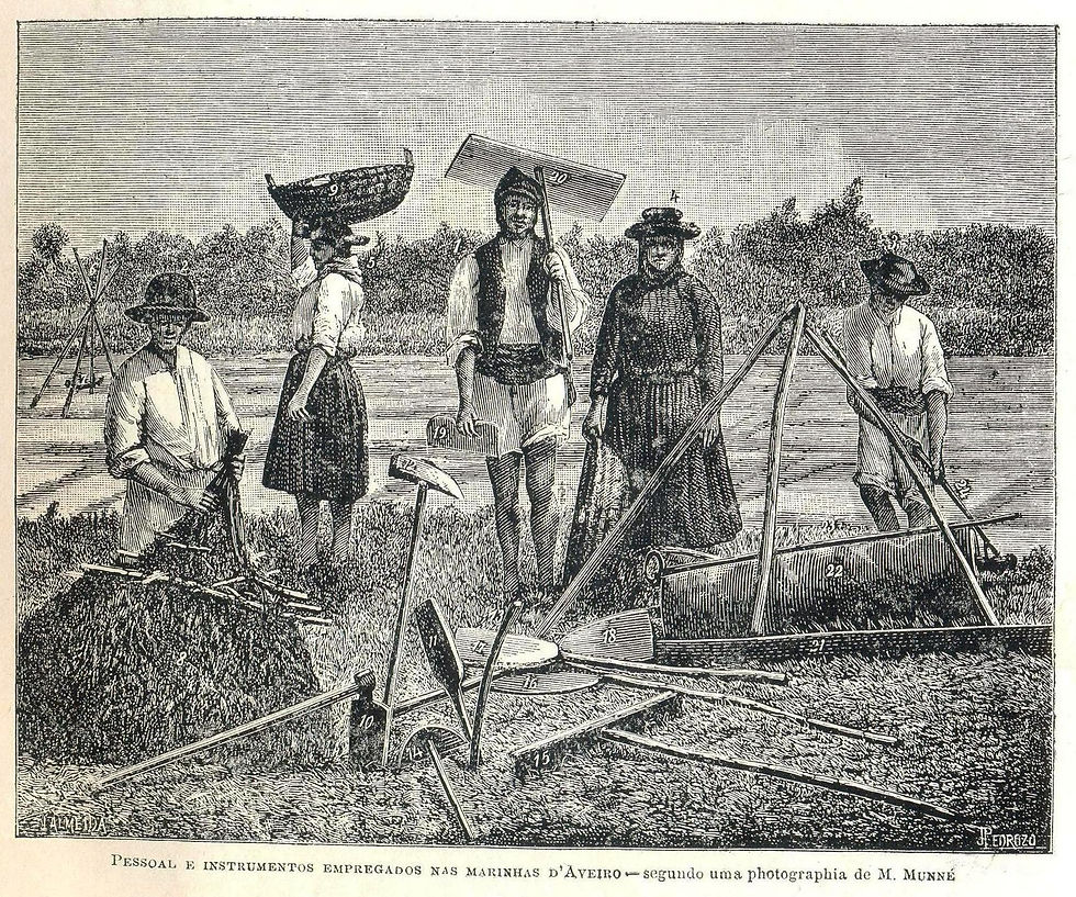 Alfaias do sal de Aveiro
