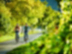 Mosel-Radweg_Piesport_C.Arnoldi