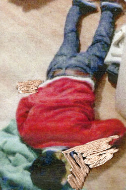 Fotógrafo: Ignacio Ramírez