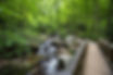 Helen_AnnaRubyFalls_04_GeoffLJohnson-large.jpg