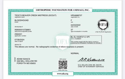 454755717_347212221777264_3562771420569150234_n