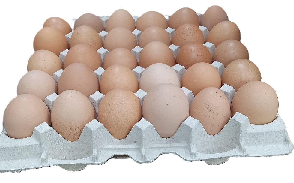 Thumbnail: Farm Fresh Brown Eggs 15 Dozen Case