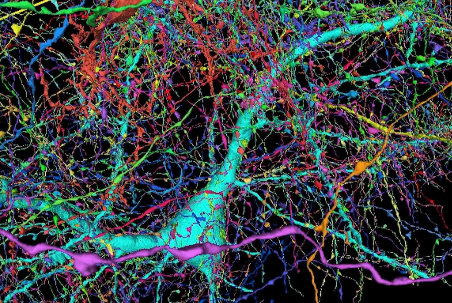 AI and the Future of Art and Design
