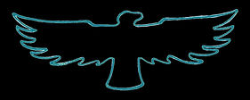plain bird.jpg