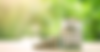 shutterstock_520847458-scaled_edited.png
