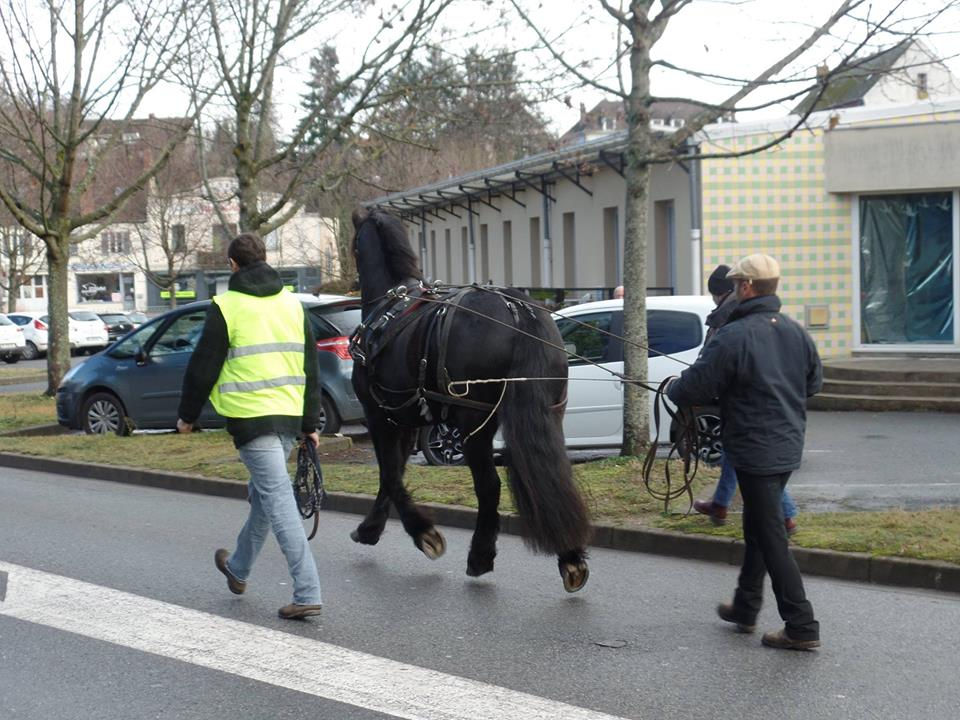 Longues renes ville