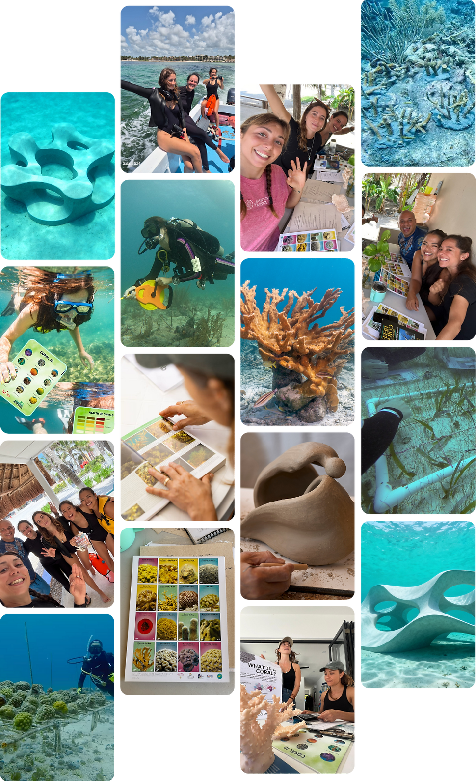 Coral Print Regenerative Coral Reef Restoration Tour.png