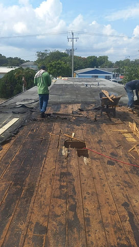 WhatsApp Image 2025-04-08 at 11.26.06.jpeg