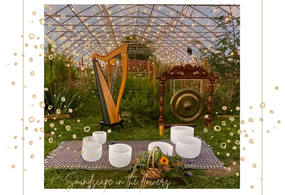 Soundscape in the Flowers: Music and Meditative Magic