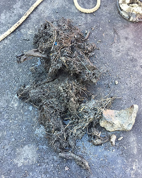 Clogged Drain Debris