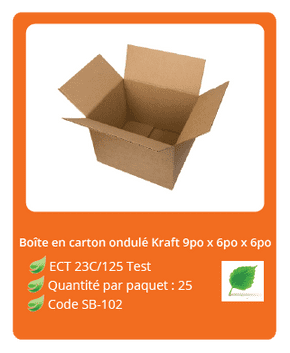 Boîte en carton ondulé Kraft 9 po x 6 po x 6 po