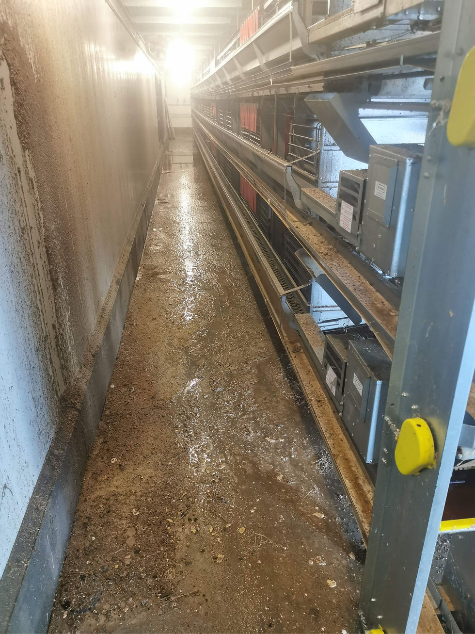Storage room before pressure washing