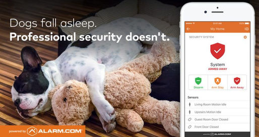 DIY Home Alarm Systems Vs Professional Systems- Get The Facts