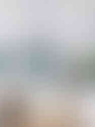 Modern kitchen with white cabinets, island, and bar stools. Lush greenery visible through a large window splashback. Bright and airy.