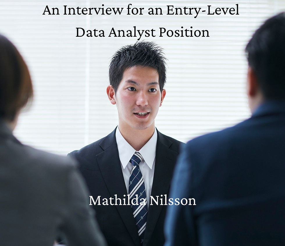 An Interview for an Entry-Level Data Analyst Position