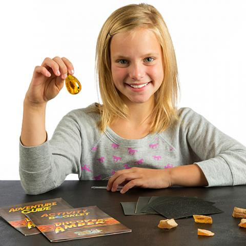 Thumbnail: Discover Amber Science Kit - Polish Real Amber!