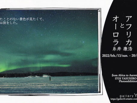 2月の展示予定。