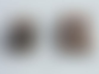 9月の展示予定。