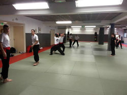 Stage Kung-Fu 2016-2017