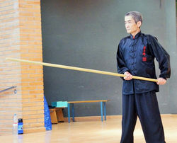 Stage Kung-Fu Choy Lee Fut - 2017