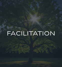 LSC-Project Button-Facilitation