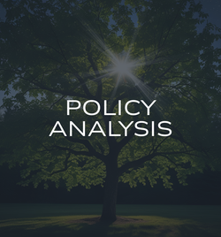 LSC-Project Button-Policy Analysis.png