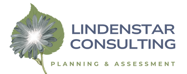 LINDENSTAR _ LOGO (1350 x 1350 px)_20250908_130726_0000.png