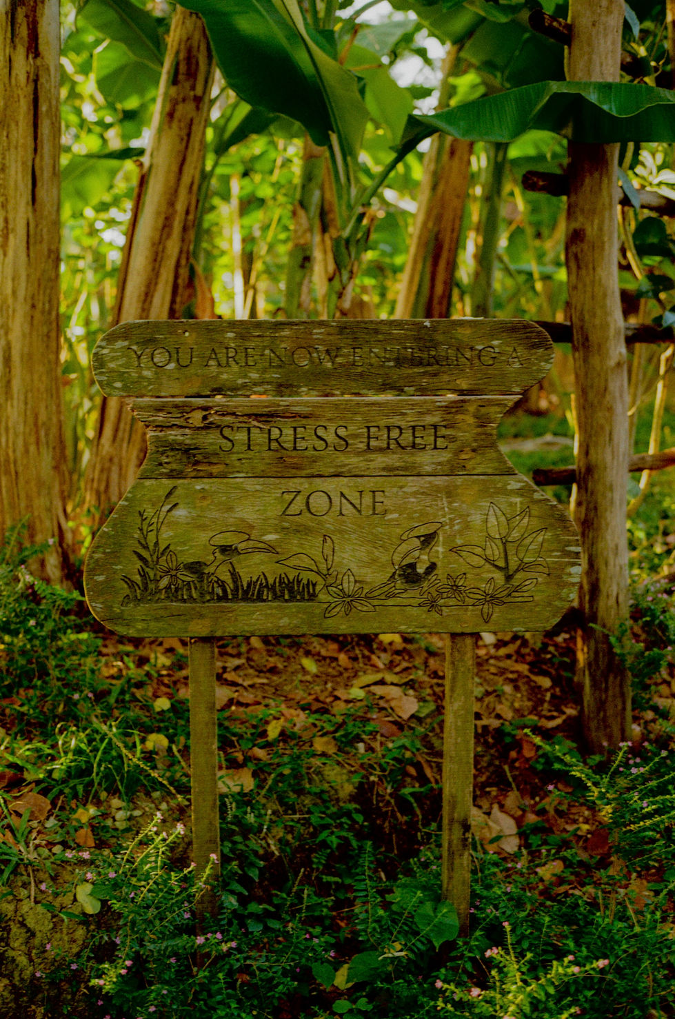 kodak_200_c_41_34118_120564_270364_002707240024 2