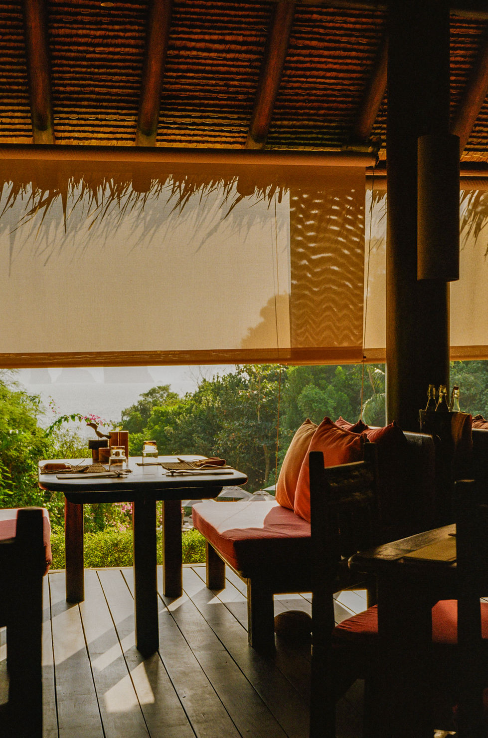 kodak_100_c_41_34118_120564_270365_002707250002 2