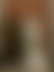 A Slane Castle Wedding in Ireland as a Destination Wedding Photographer