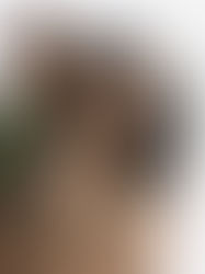 Activos que hacen parte de la sociedad Conyugal