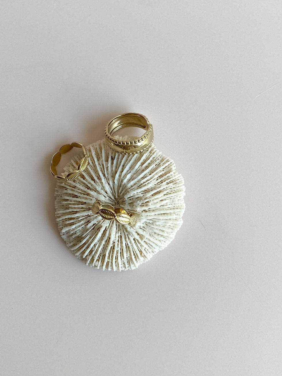 Thumbnail: SHELL ring