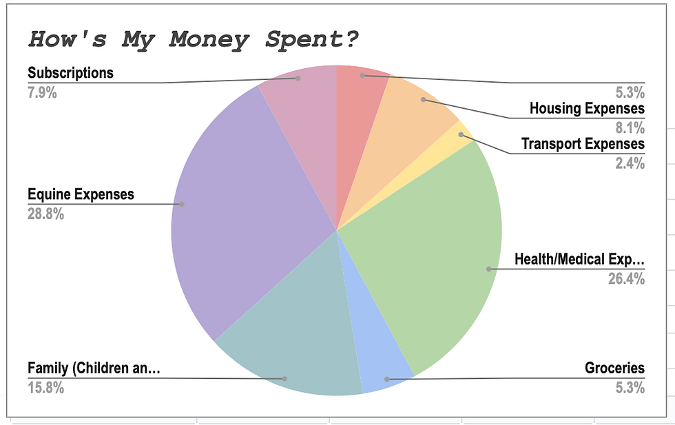 Thumbnail: Uncinched Digital Expense Tracker & Workbook