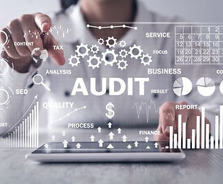 Site Audit