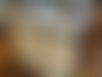 Kuddli Jewellery at Lone Pine Koala Sanctuary