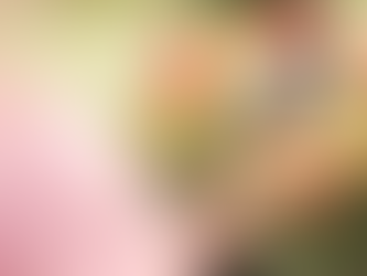 como usar o instagram para conseguir clientes