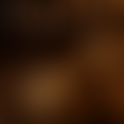 Chapter 1 — The Masquerade Ball