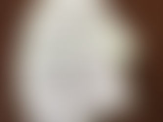 店頭にてぱんびーの通信配布中、ぷちギフト引換券ついています~