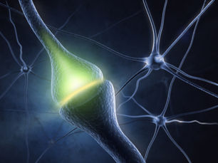 EMDR, PTSD, Neuroplasticity and “Limbic System Therapy”