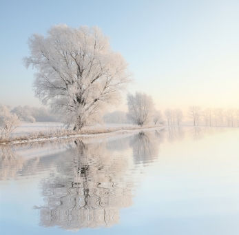 2013: Restore, Reflect, Move Forward