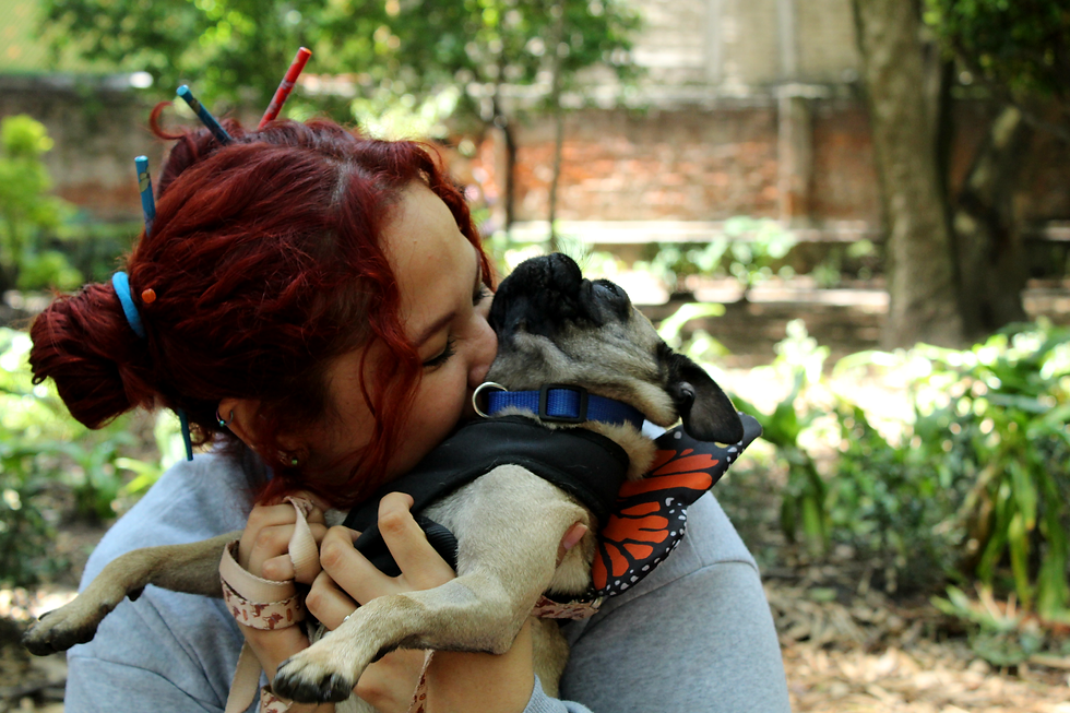 Compromiso Social: Penta Doggies en una Jornada de Voluntariado Solidario